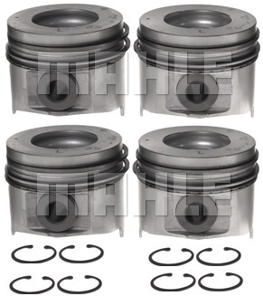 M25-224370802 Engine Piston without Rings