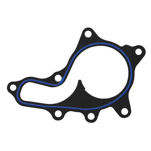 F10-36013 Water Pump Gasket Set