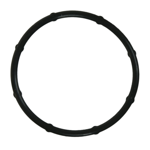 F10-36004 Water Outlet Gasket