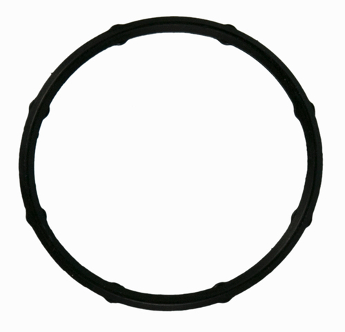 F10-36016 Water Outlet Gasket