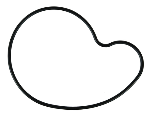F10-36042 Water Pump Gasket
