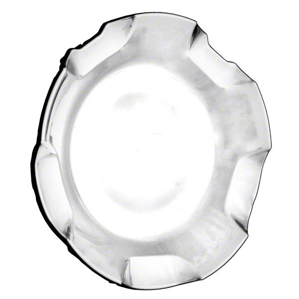 W5308 Aluminum Wheel Center Cap, Natural