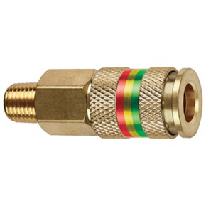 0.25 in. Combo Hose End Quick Disconnect Coupling MNPT CA
