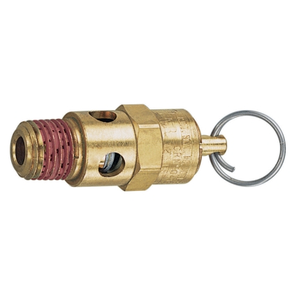 125 PSI 0.25 in. Male NPT Safety Valve