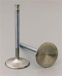 Race Master Race Flo Intake Valves Small Block Chevy