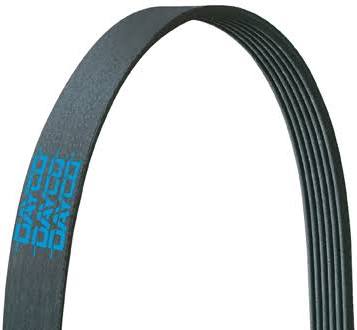 D35-5080715 Poly Rib Gold Label Belt