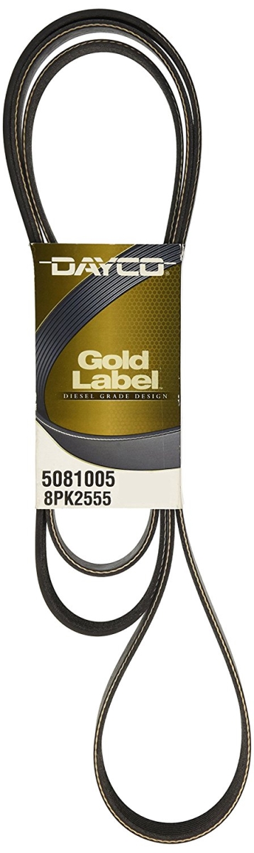 D35-5081005 Serpentine Replacement Belt for 2003-2004 International Paystar