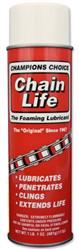 Thetford  17 oz Chain Life Aerosol Can