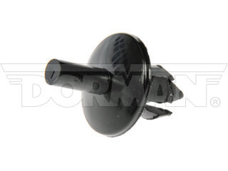 Dorman 961016D Black 0.25 in. Push Rivet for Ford