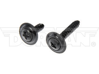 Dorman 961205D No. 8 x 0.62 in. Trim Screw Assortment, Black