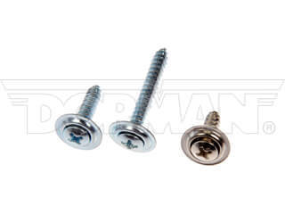 Dorman 961225D No. 8 x 0.62 in. Trim Screw Assortment, Chrome