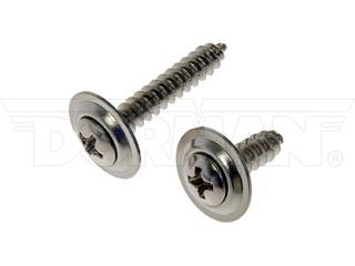 Dorman 961235D No. 8, No. 10 Trim Screw Assortment, Chrome