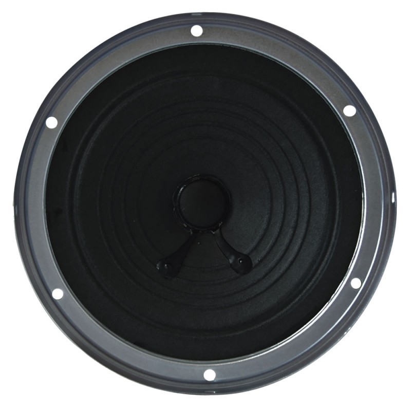 Picture of ASA 5203 5.25 in. Entry Level Speakers
