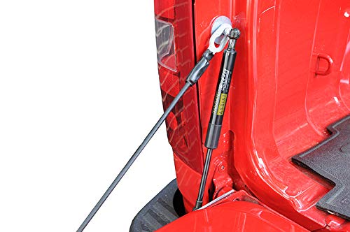 DZ43103 Tailgate Assist for 2019 Ford Ranger