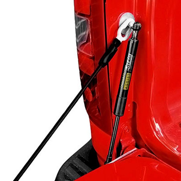 DZ43105 Truck Tailgate Assist for 2001 Chevrolet Colorado
