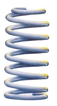 2865 100 Series Rear Coil Spring for 2007 Toyota Land Cruiser Base