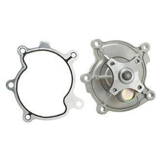 DP981Engine Coolant Water Pump Kit for 2009-2011 Buick Lucerne