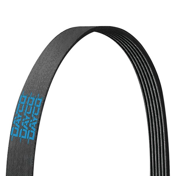 5081059 Gold Label Poly Rib Heavy Duty Belt - Black