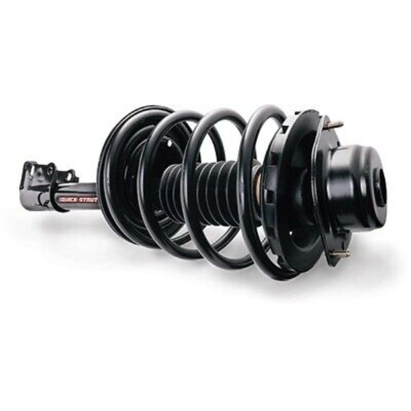 Shock 172439 Quick- Struts Assembly
