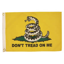 Taylor Made  12 x 18 in. Dont Tread on Me Flag