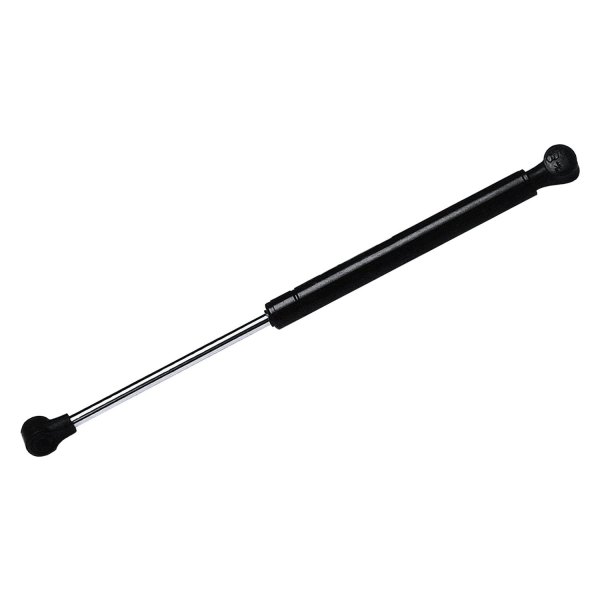 4576 Back Glass Lift Support for 2004-2007 Buick Rainier