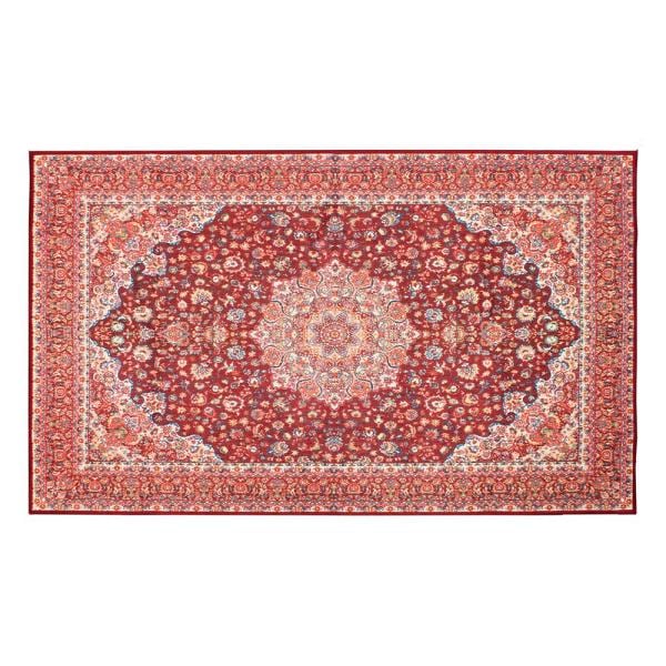 3 x 5 ft. Medallion Rectangle Area Rug, Kenya Ruby