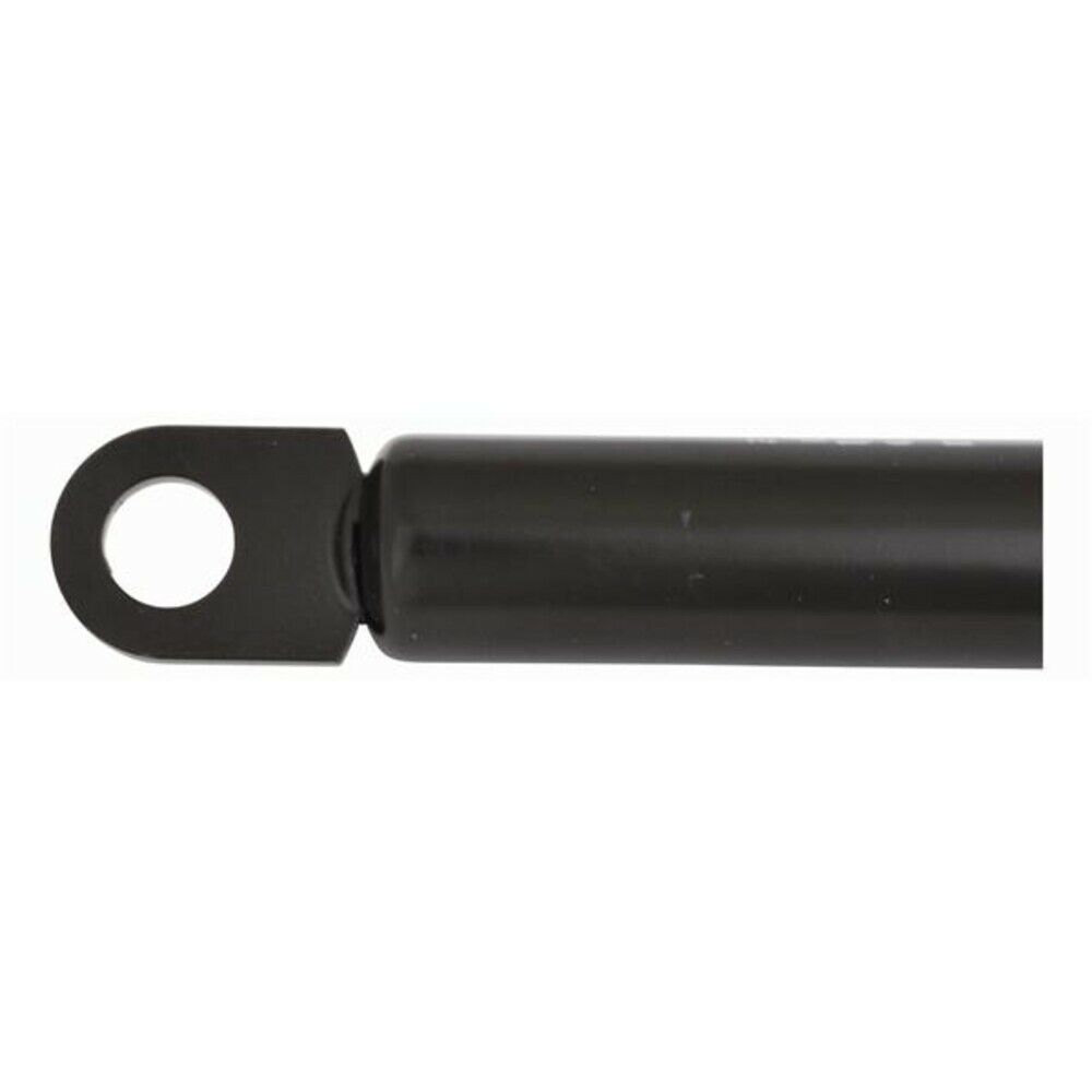 SL271001 No 100 10 x 22 ft. 10 mm Gas Spring, Black