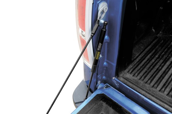 Picture of Dee Zee DZ43207 Truck Tailgate Assist for 2022 Ford Maverick