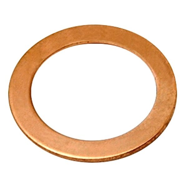 Picture of Raybestos G1244 Brake Hydraulic Hose Copper Gasket