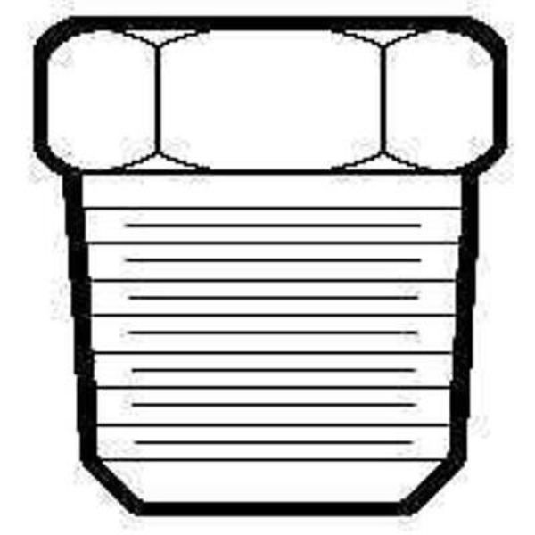 0.5 in. Hex Plug
