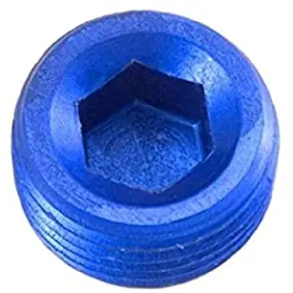 -06 (3/8") NPT HEX HEAD PIPE PLUG - BLUE - 2/PKG