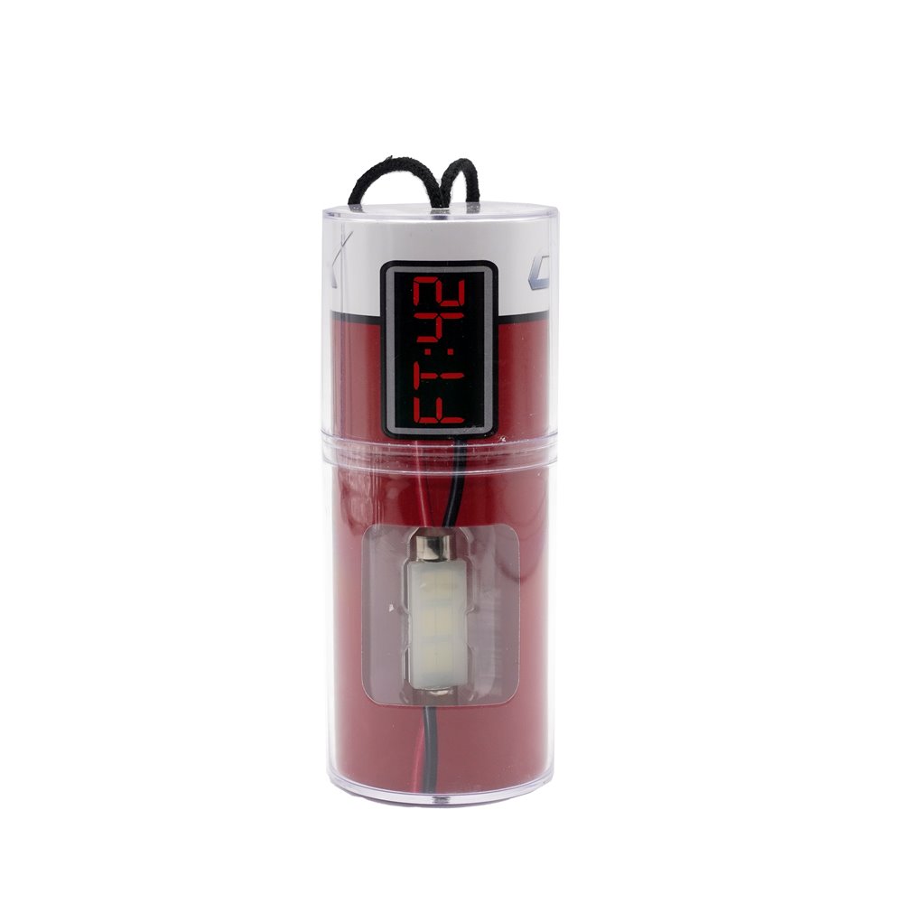 DYNFT42WH 42 mm Festoon Dynamite Series Mini Bulb