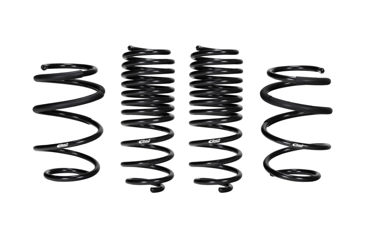 E104004302 Pro-Kit Performance Springs