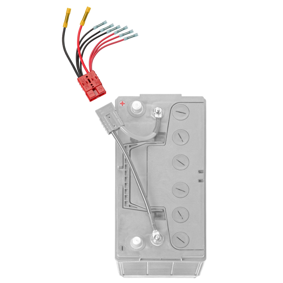 Connect Ease RCE12VB4 Multi Four 4 Connector for Lithium Compatible