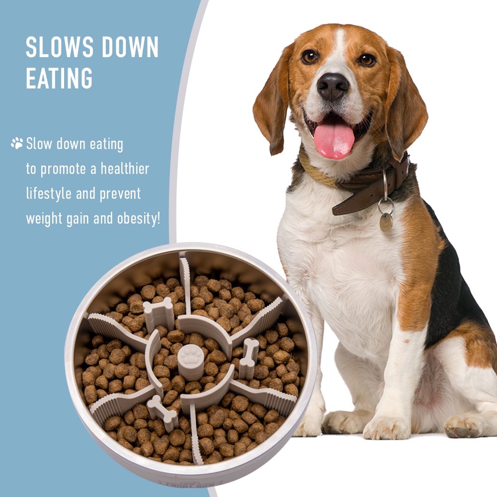 Picture of Front Row FRW-DB003-12 Front Row 3 in 1 Premium Dog Bowl w/ Stainless Steel Vacuum Insulated Dog Bowl, Sand