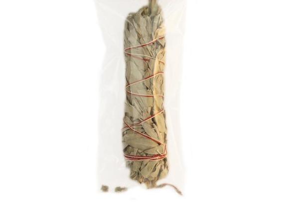 OMSPG2040-WSMedium 6-7.5 in. White Sage Smudge - Medium Bundles