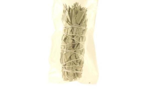 OMSPG2046-WhiteSageSmudge-small 5-6 in. White Sage Smudge Stick - Small Bundles