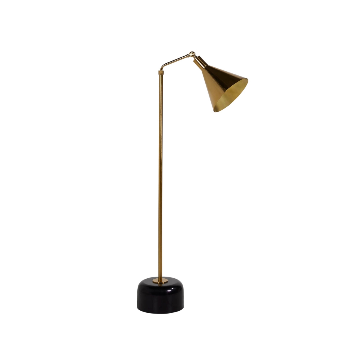 52-71 x 22 x 9 in. Skye Lumia Floor Lamp, Brass & Black