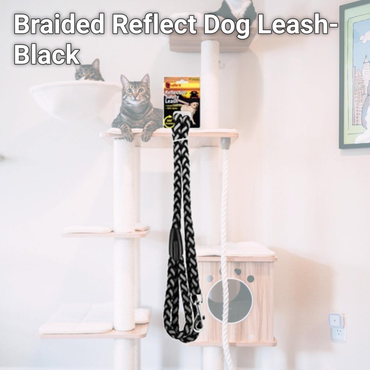 Picture of Braided Reflect Dog Leash- Black
