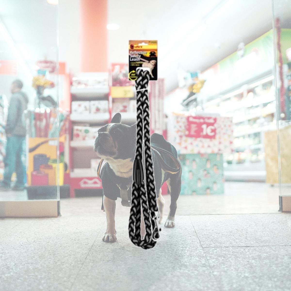 Picture of Braided Reflect Dog Leash- Black
