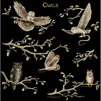 22 x 22 in. Owls Image Bandana