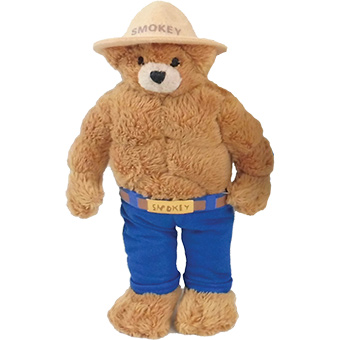Picture of Education Outdoors 103544 12 in. Smokey Bear Plush