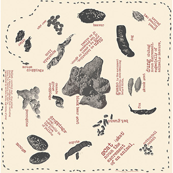 22 x 22 in. Scat Image Bandana 22in. x 22in.