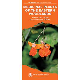 603854 Medicinal Plants East Woodland