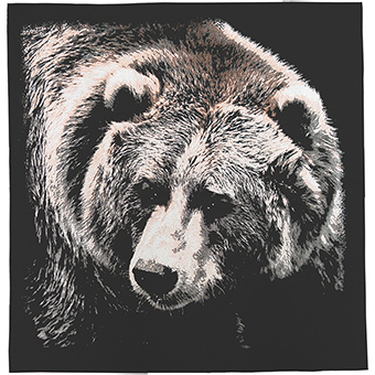 22 in. Bear Bandana