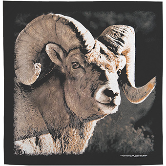 22 in. Bighorn Bandana