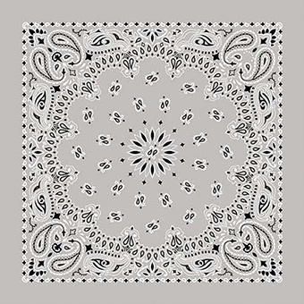 Picture of Carolina Manufacturing 518065 Bandana Paisley&#44; Silver - 22 x 22 in.
