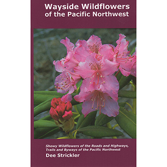 104542 Wildflowers Pacific Northwest