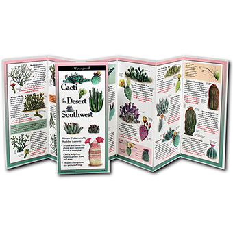 524523 Cacti Desert Southwest Guide