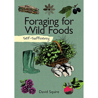 103877 Foraging for Wild Foods